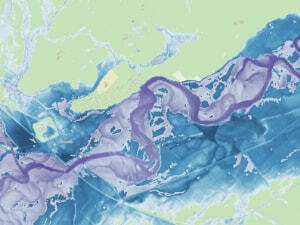 WITHDRAWN - Twinn FloodFutures - sample image
